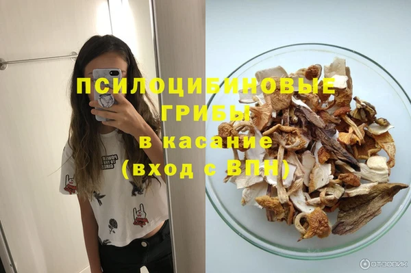 ГАЛЛЮЦИНОГЕННЫЕ ГРИБЫ Армянск
