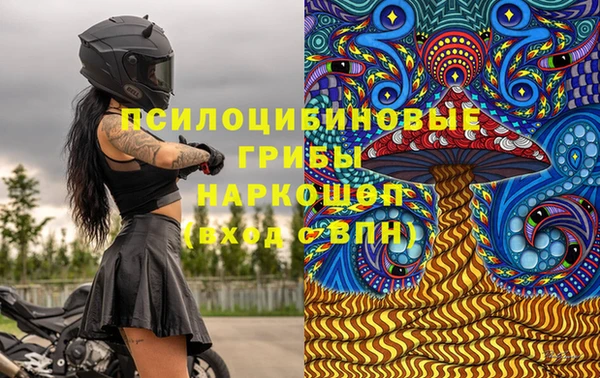 ГАЛЛЮЦИНОГЕННЫЕ ГРИБЫ Армянск