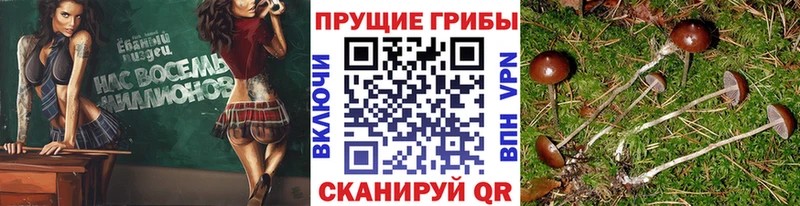 Галлюциногенные грибы ЛСД  Ясногорск 